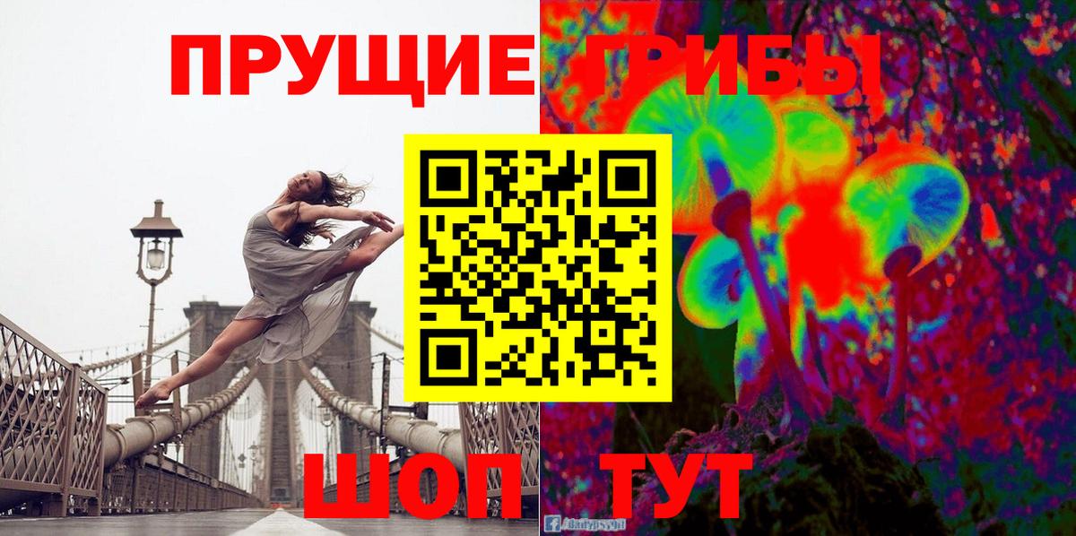 Холмск  Галлюциногенные грибы Psilocybine cubensis  Вход с VPN  Псилоцибиновые грибы Cubensis 