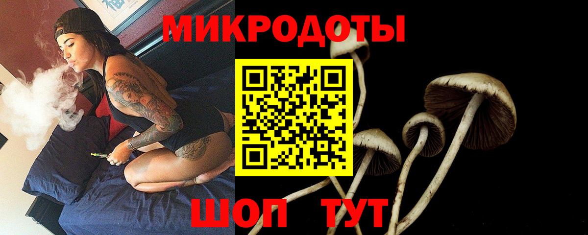 Псилоцибиновые грибы Psilocybe Холмск